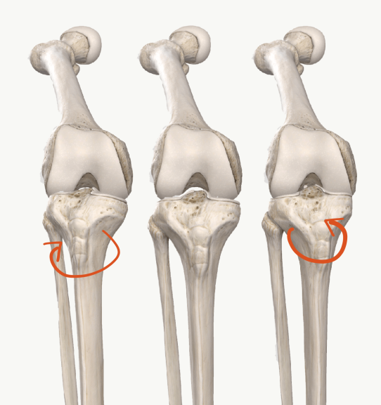 膝関節の回旋可動性検査　